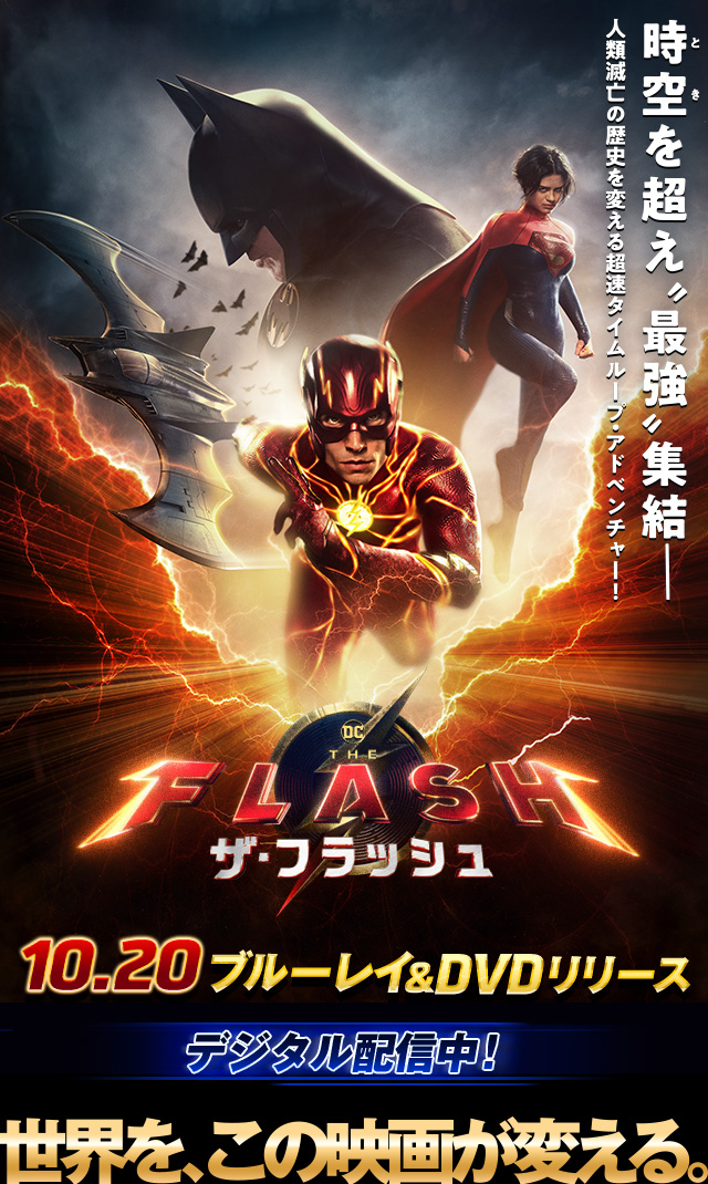 貿易保証 ︎ ⚡︎The Flash⚡︎ザ・フラッシュ⚡︎メガサイズ DC