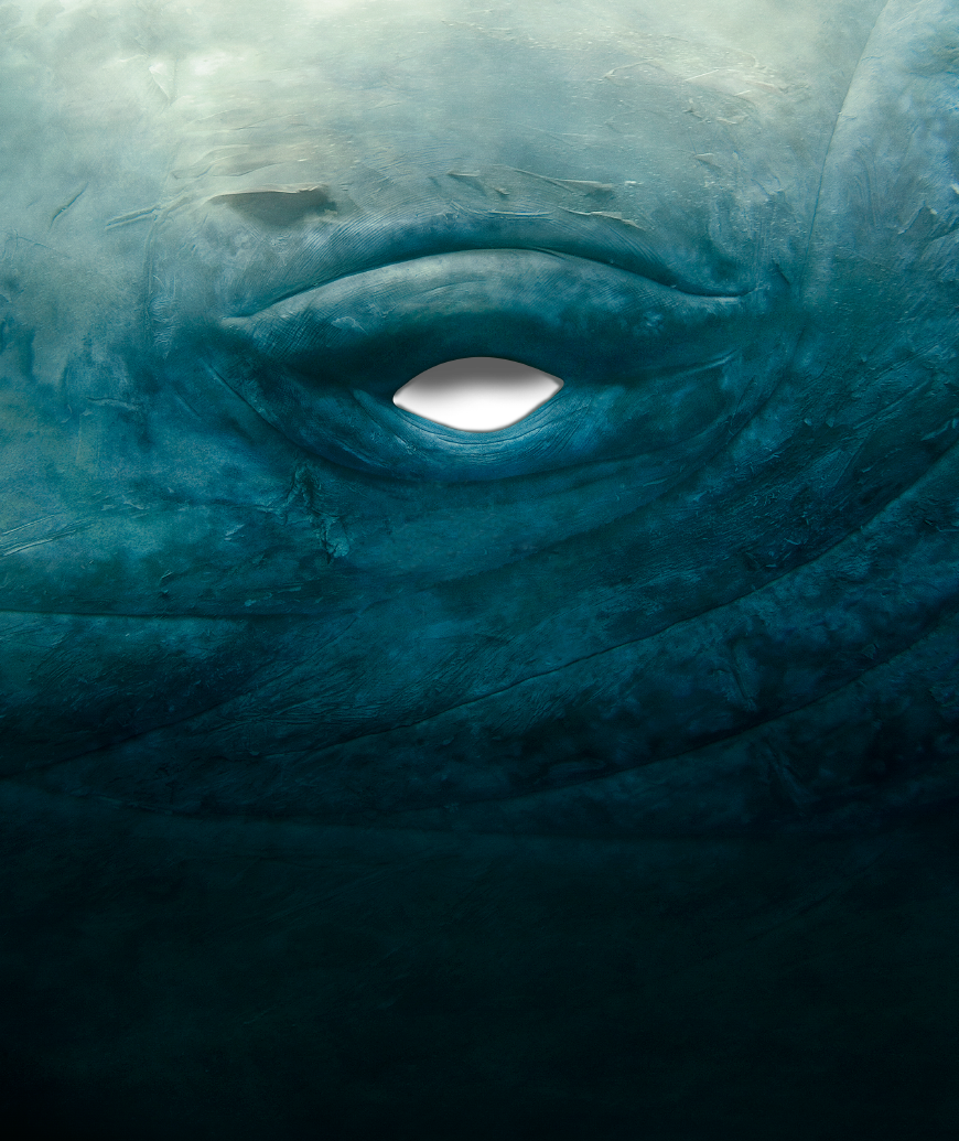 映画 白鯨との戦い クジラ特設ページ