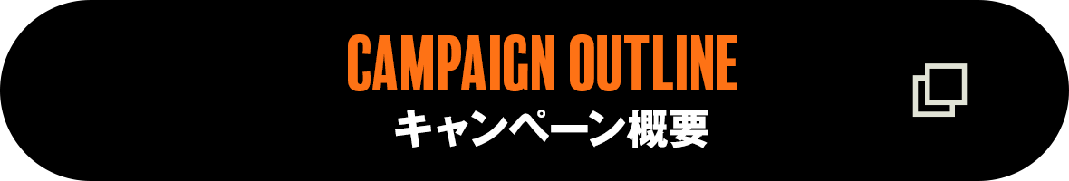 キャンペーン概要