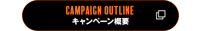 キャンペーン概要