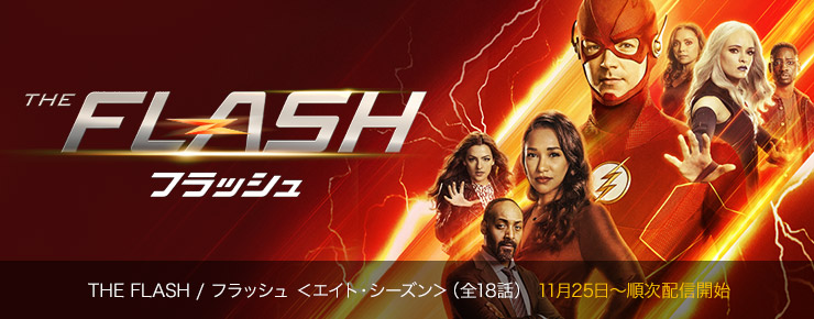 THE FLASH / フラッシュ ＜エイト・シーズン＞