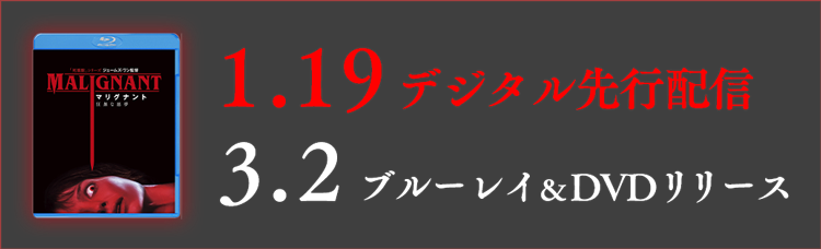 1.19 デジタル先行配信 3.2 ブルーレイ＆DVDリリース