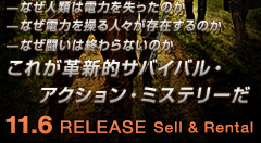 11.6 RELEASE Sell & Rental