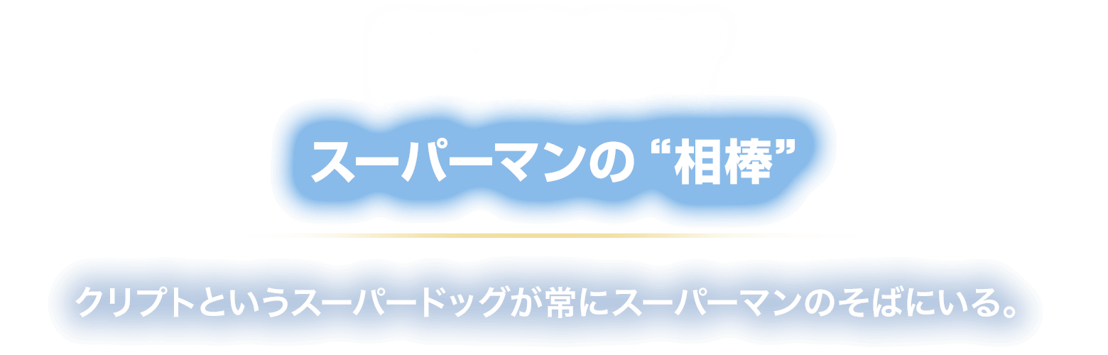 BUDDY スーパーマンの“相棒”
						クリプトというスーパードッグが常にスーパーマンのそばにいる。