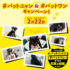 映画『THE BATMAN－ザ・バットマン－』オフィシャルサイト