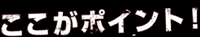 ここがポイント！