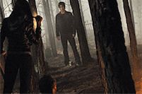 13.ꂽq